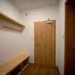 شقة فندقية Na Hande Boží Dar